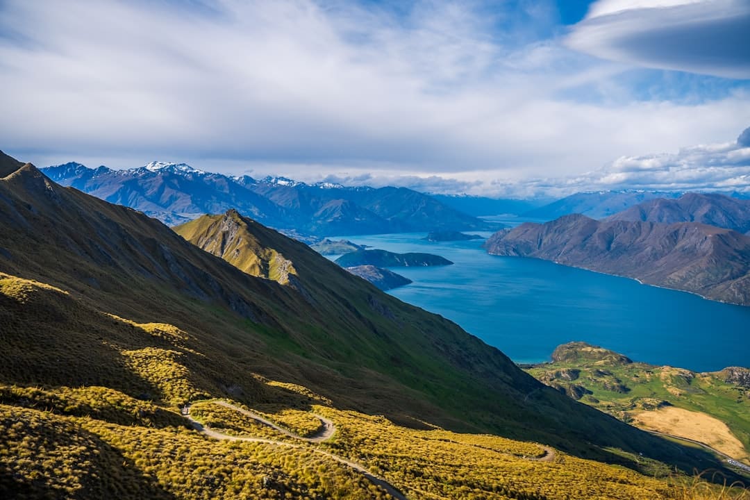 Air NZ Defends Economy Bunks