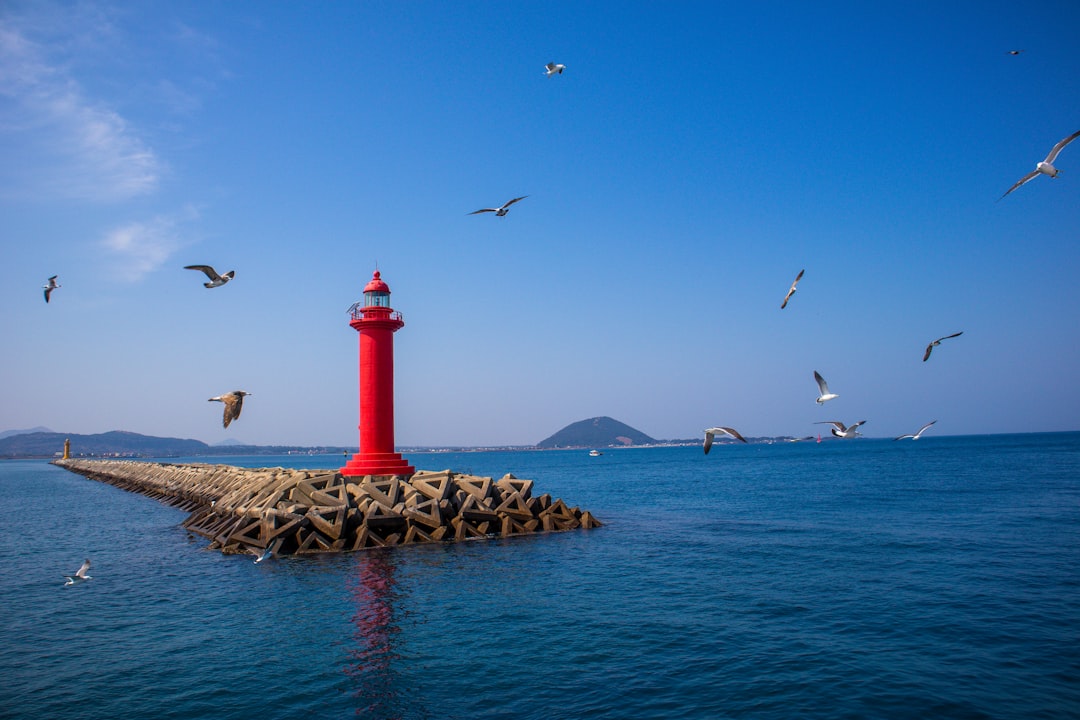 Lighthouse Acquires AI Analytics Firm