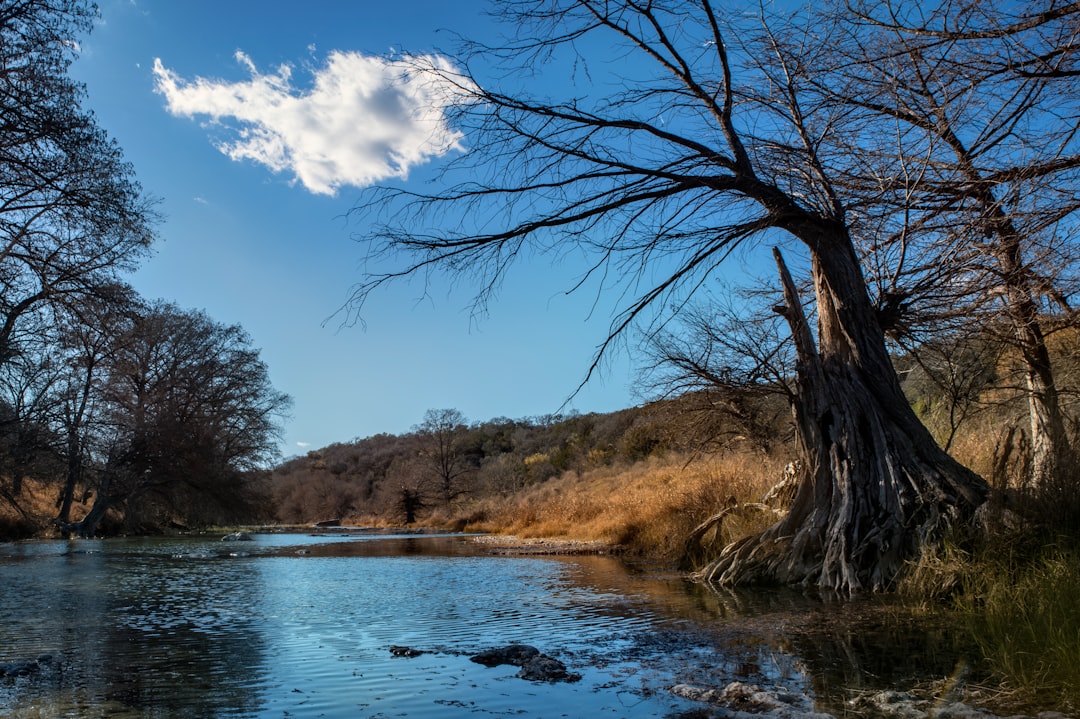 Luxury Brands Invest in Texas