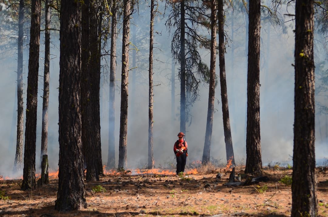 Hotels Prepare for Wildfires